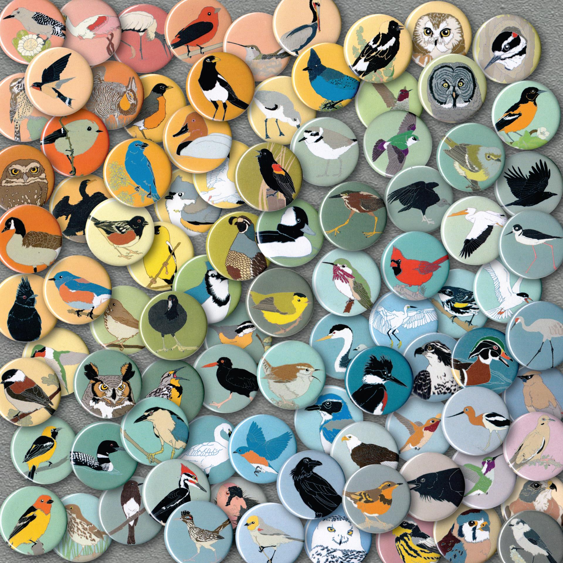 BirdvsBird_magnets